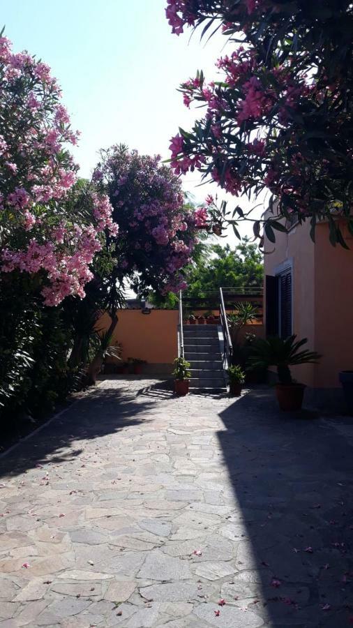 B&B Fiumicino Airport Resort Eksteriør billede