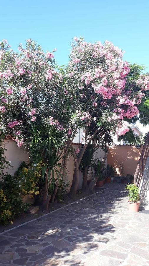 B&B Fiumicino Airport Resort Eksteriør billede