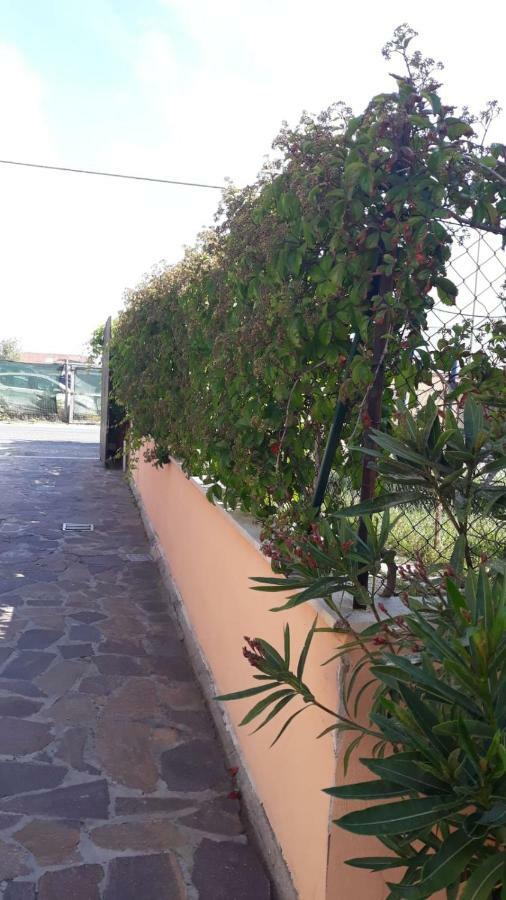 B&B Fiumicino Airport Resort Eksteriør billede